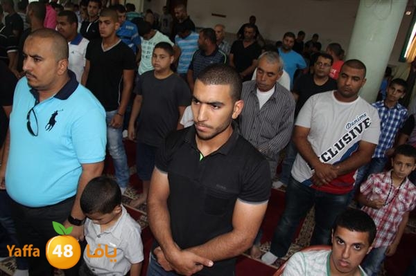 mayef abo ganem 0524 (43).JPG